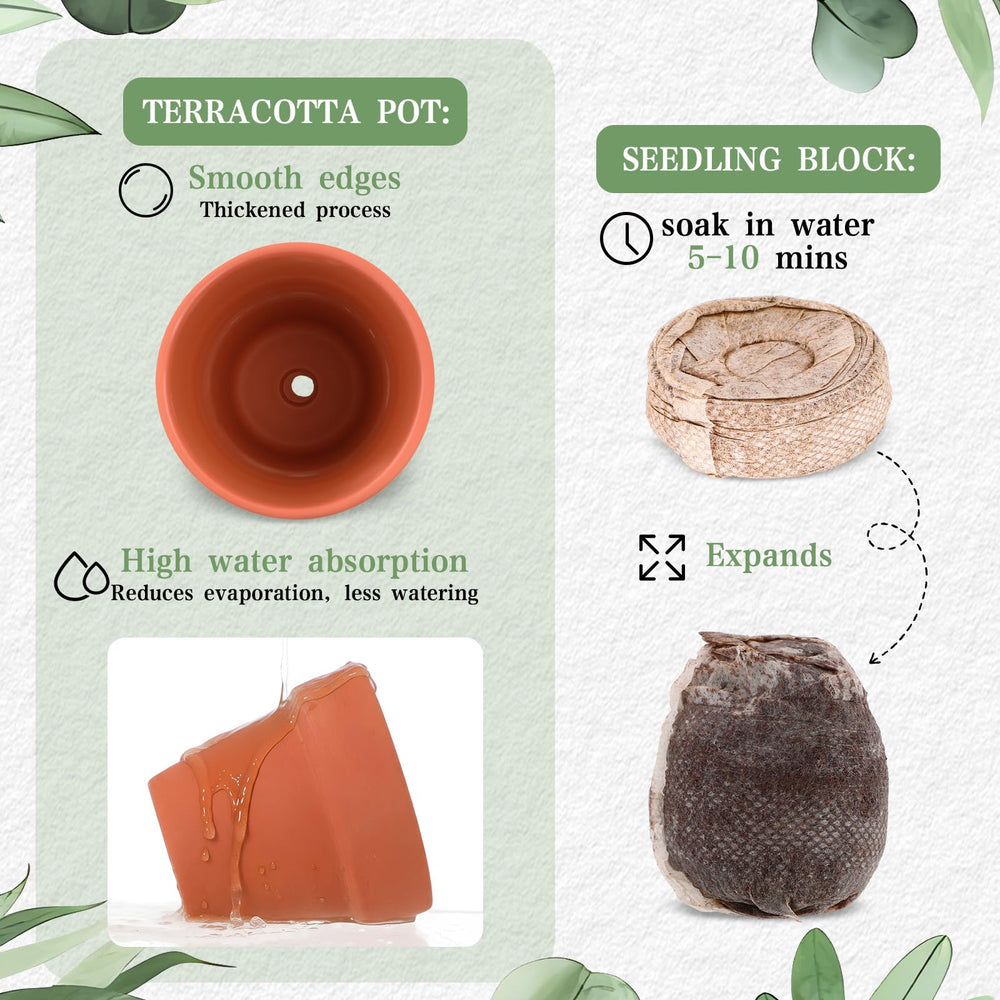 Acellegic terracotta pot with soil block inside showing planting readiness