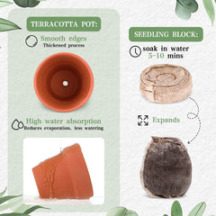 Acellegic terracotta pot with soil block inside showing planting readiness