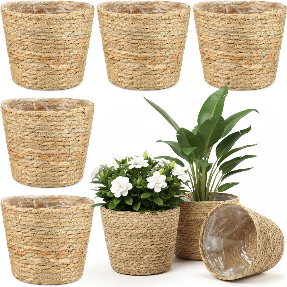AceOrbit front view rustic wicker planter showing decorative appeal and compact size