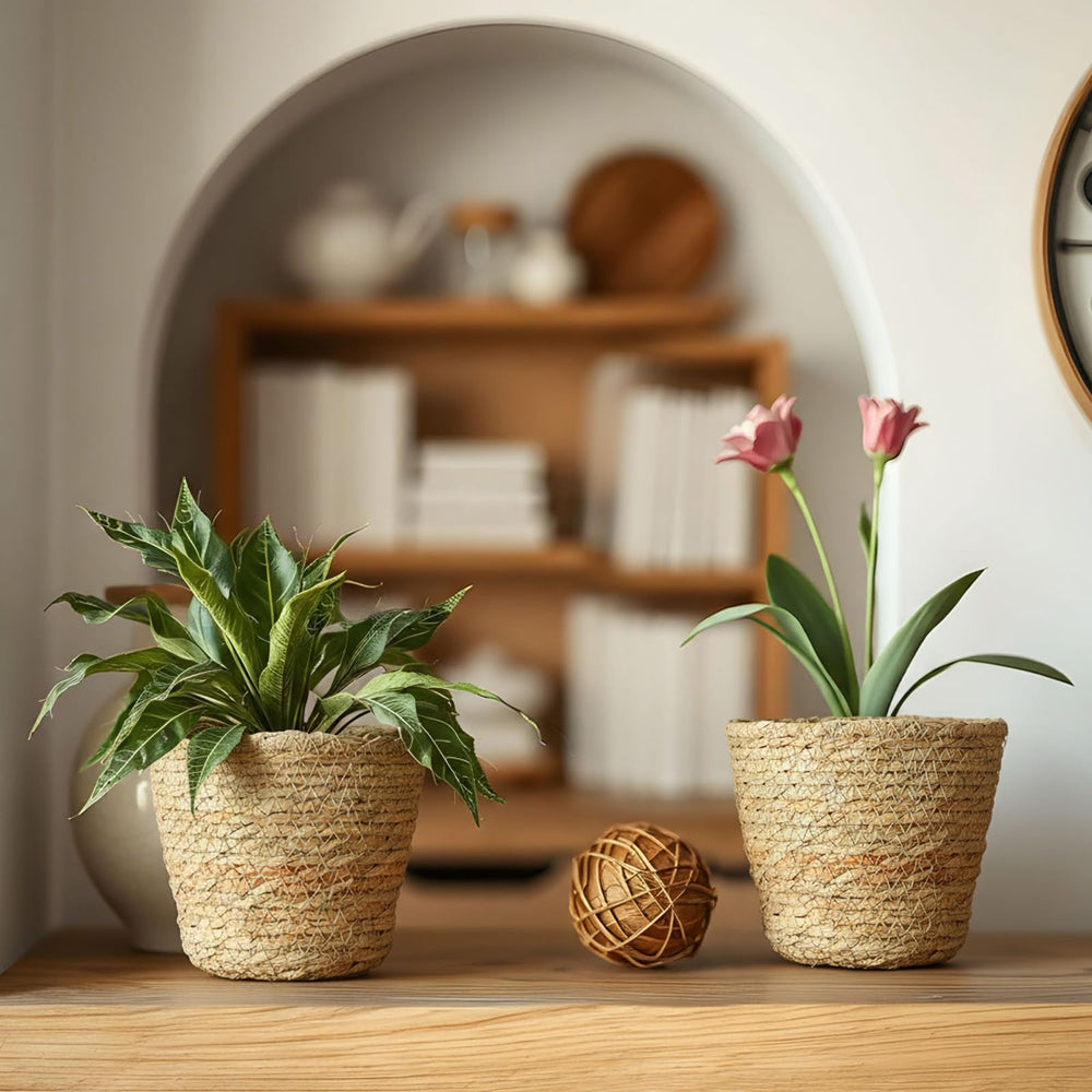 AceOrbit baskets displayed on kitchen shelf improving organization benefit