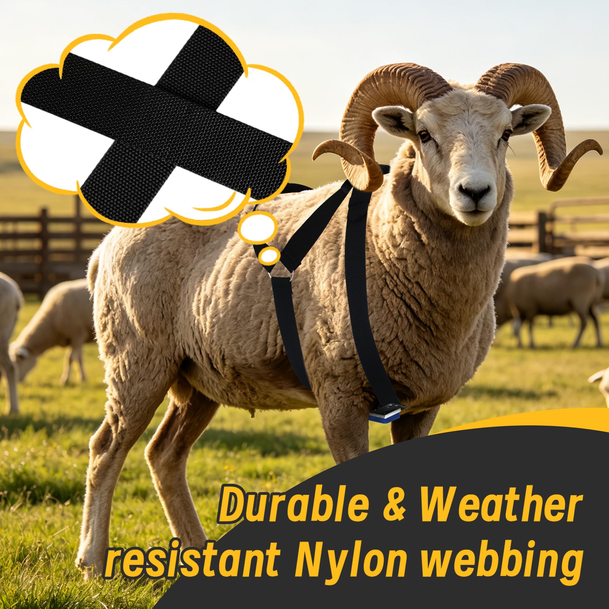 Achicklead adjustable buckles detail for reliable fastening and comfort
