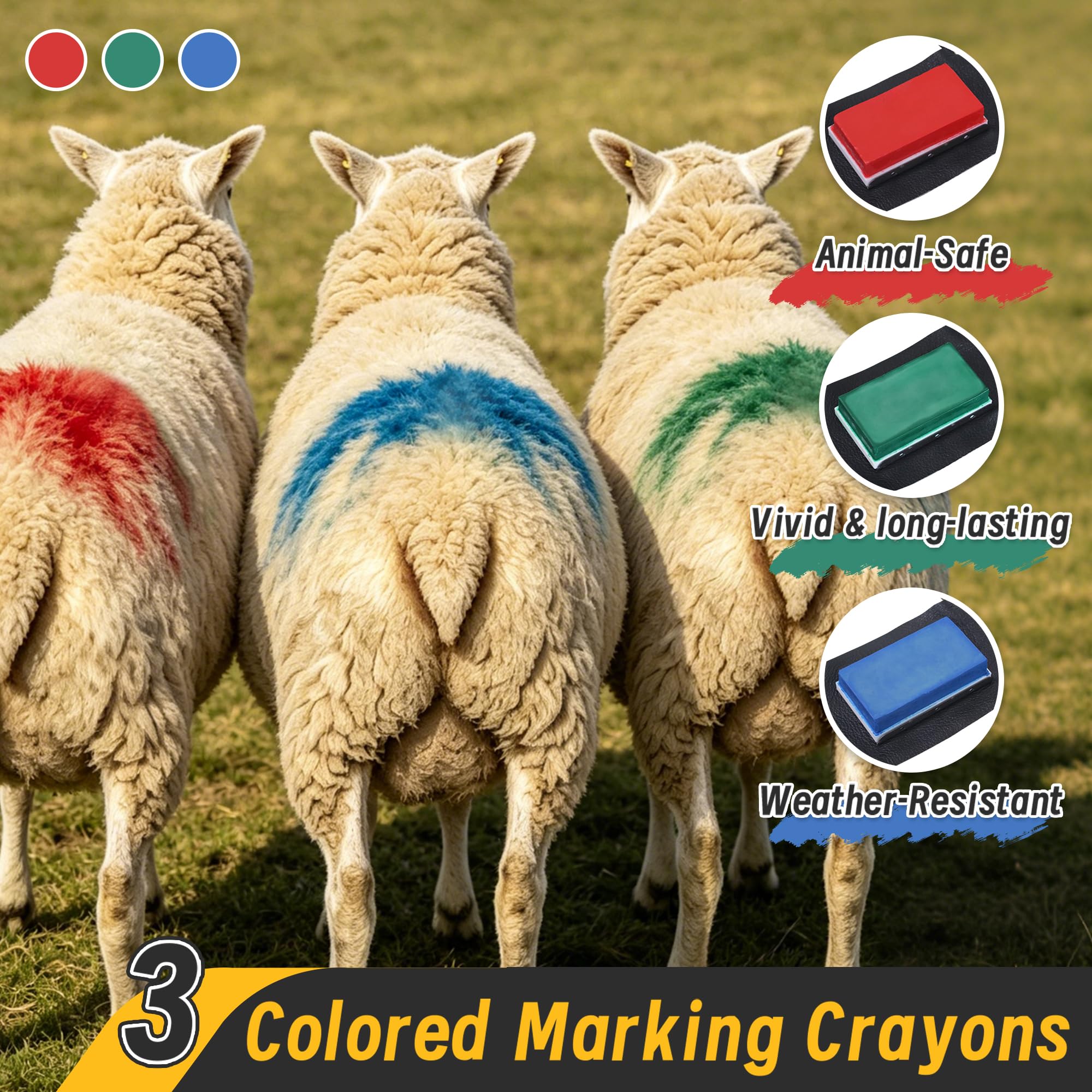 Achicklead clear colored mark on ewe after mounting for instant verification