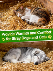 Acostop straw used as chicken coop bedding, provides dry comfortable layer