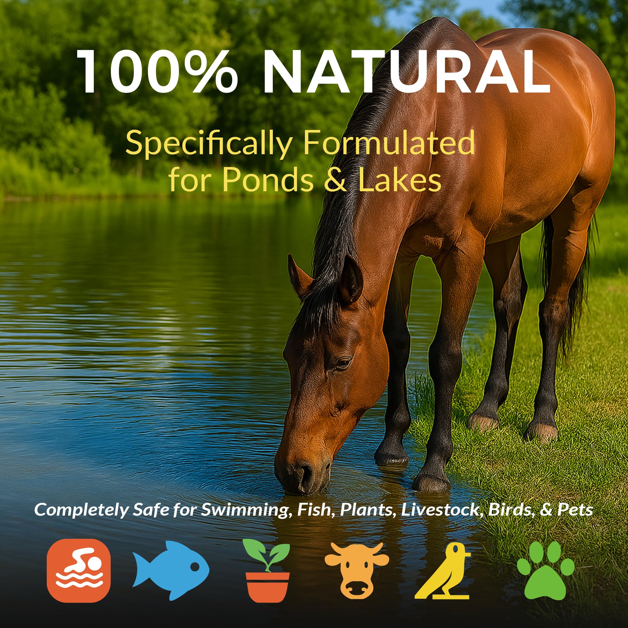 ACTICLEAR tablets placed on pond bottom breaking down sludge effectively
