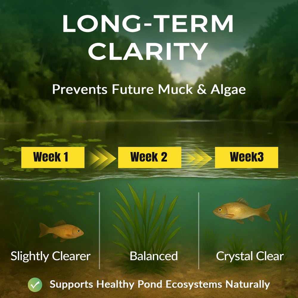ACTICLEAR before and after pond composite showing clearer water benefit