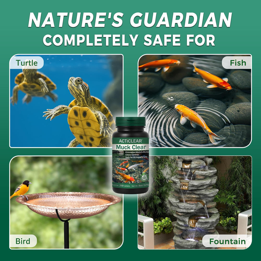 ActiClear used in backyard pond setting showing cleaner water and peaceful habitat