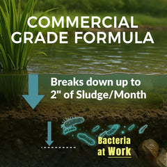 ACTICLEAR tabs sinking into sediment to target muck and restore clarity