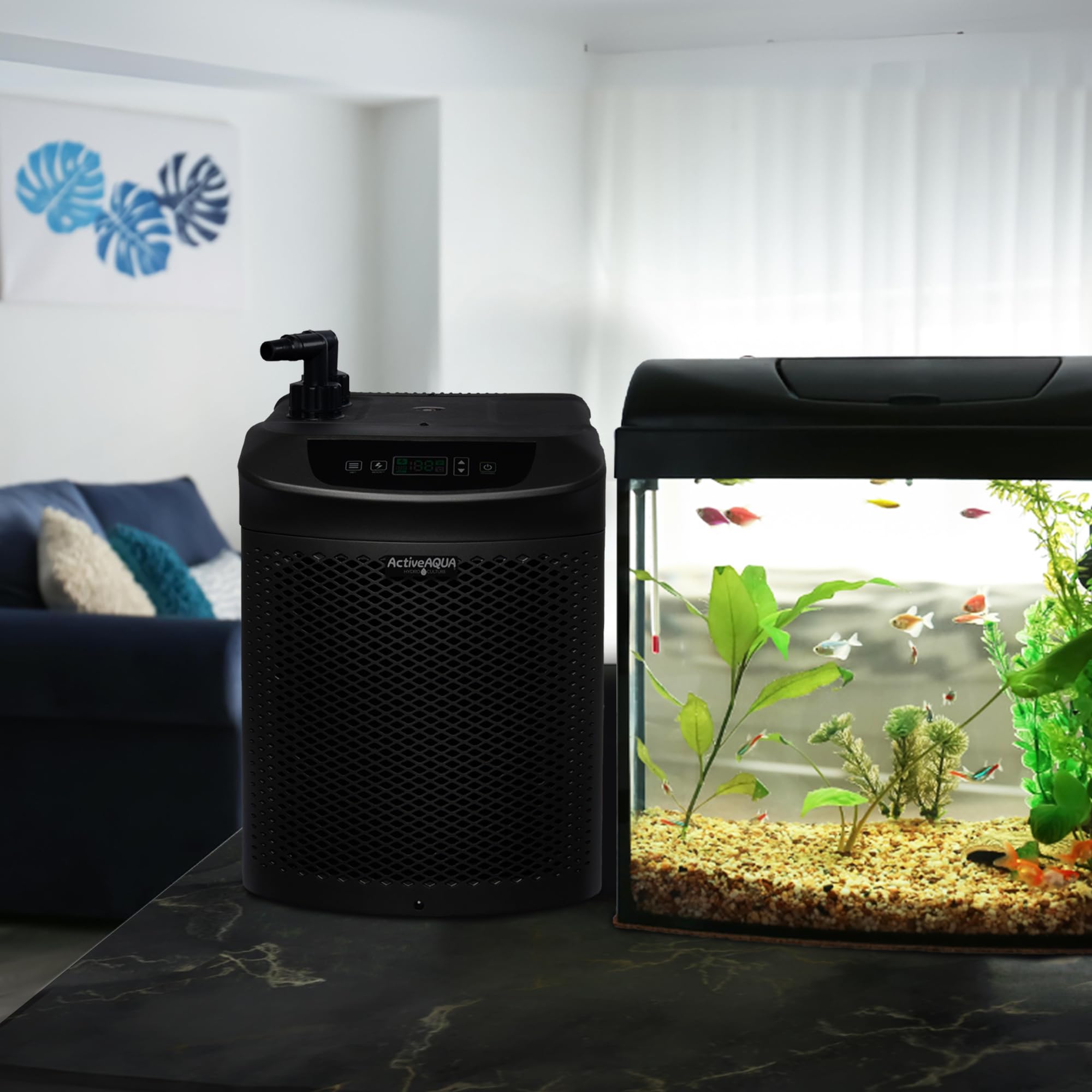 ActiveAqua chiller next to ruler for scale showing compact footprint benefit