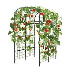 ActiveTrail front view of metal garden arch showing sturdy plant support