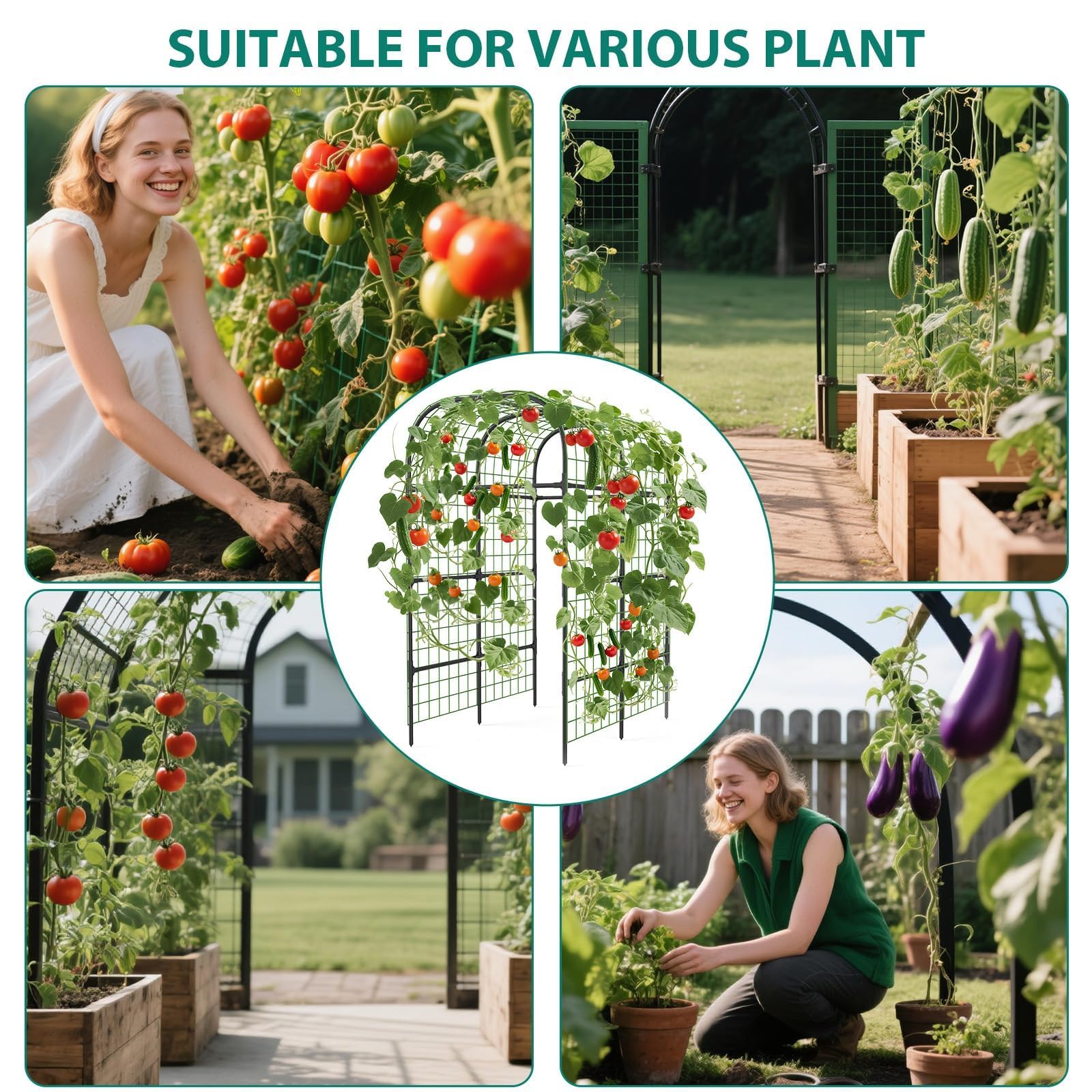 ActiveTrail side profile in a raised bed demonstrating space-saving vertical growth
