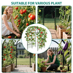 ActiveTrail side profile in a raised bed demonstrating space-saving vertical growth