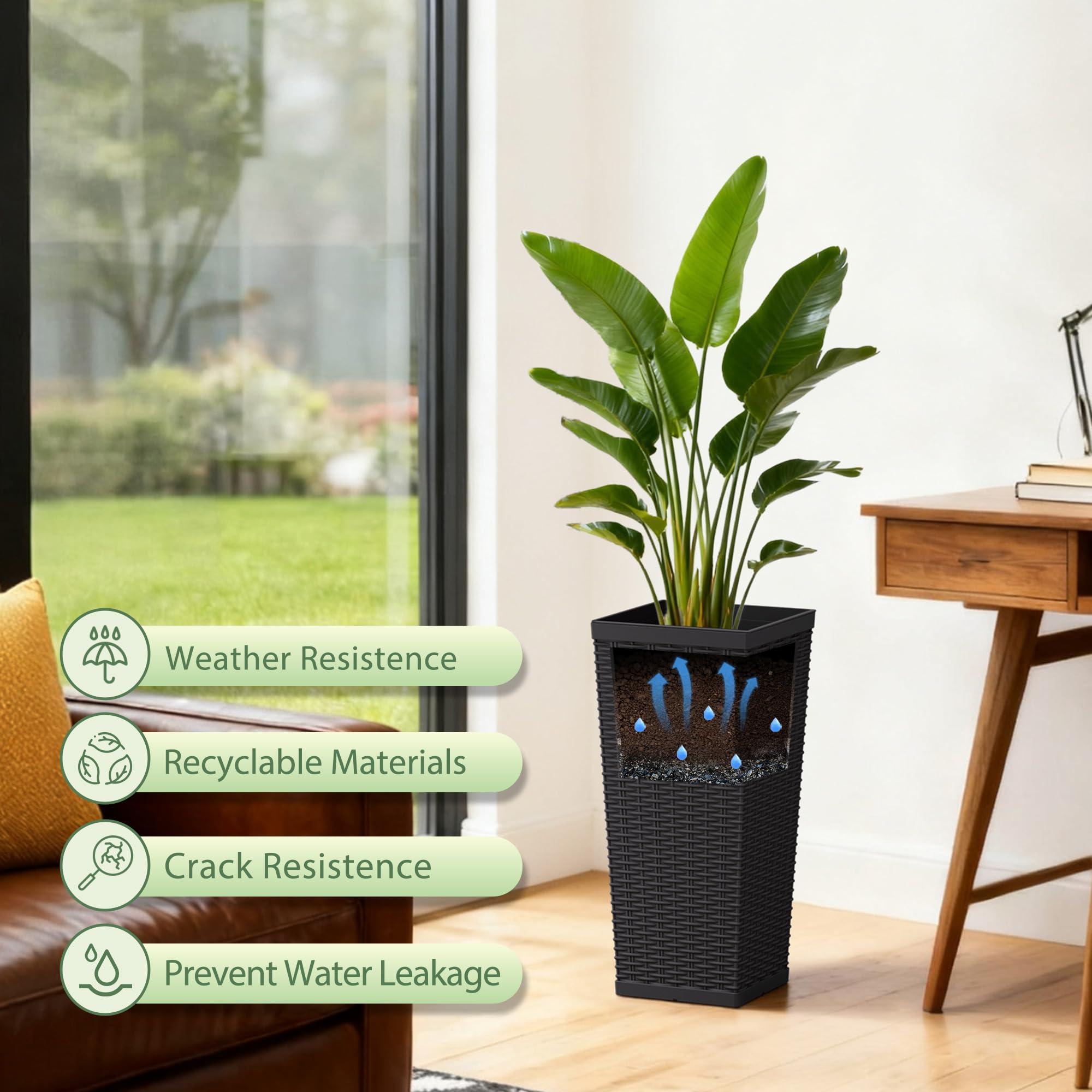 Acurax comparación de tamaño junto a una planta, muestra escala real