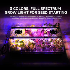 Adawook top view of 60-cell tray with sown cells demonstrating neat spacing benefits