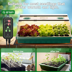 Adawook clear dome vents open demonstrating humidity control to protect seedlings