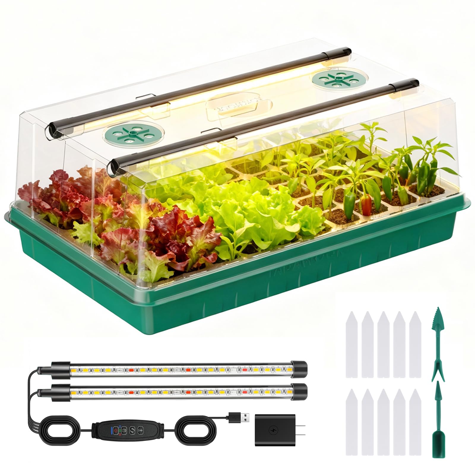 Adawook front view of complete seed starter kit showing organized setup and quick results