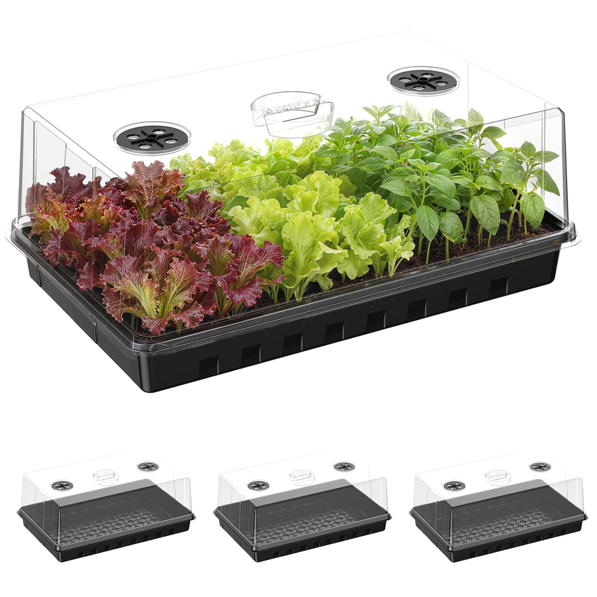 Adawook front view of tray with dome showing roomy germination space and protection