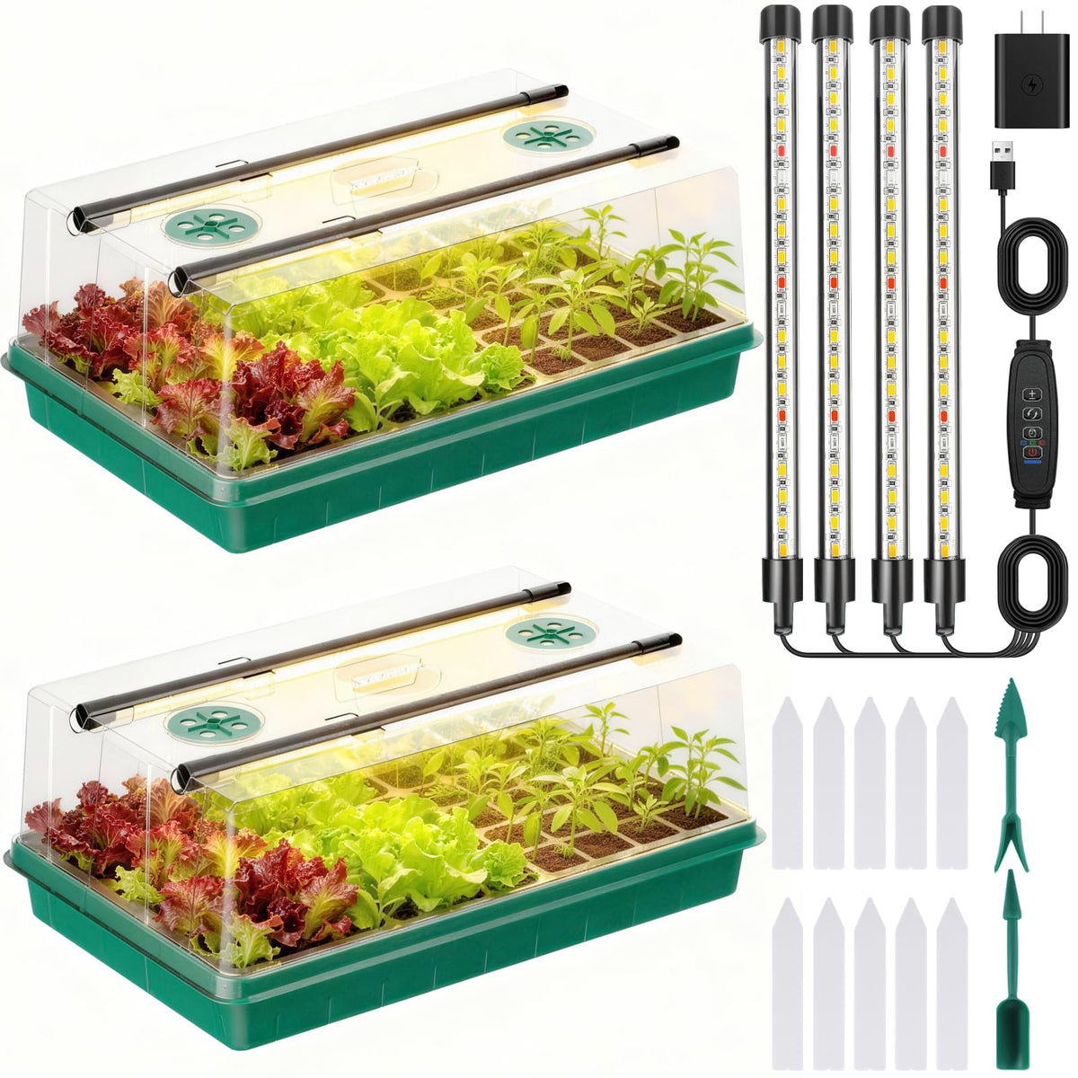 Adawook seed starter front view showing tray, dome, and lights promoting reliable germination