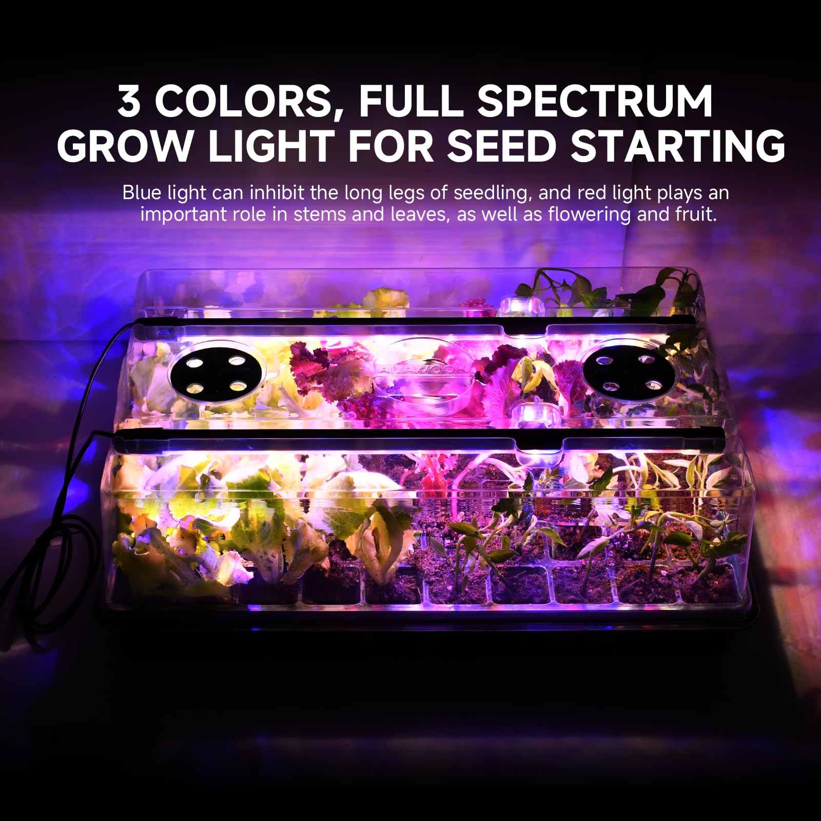 Adawook seed tray next to hand for size comparison aiding placement planning