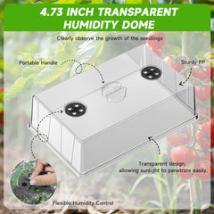 Adawook top-down view of seedlings in tray highlighting organized growth and space