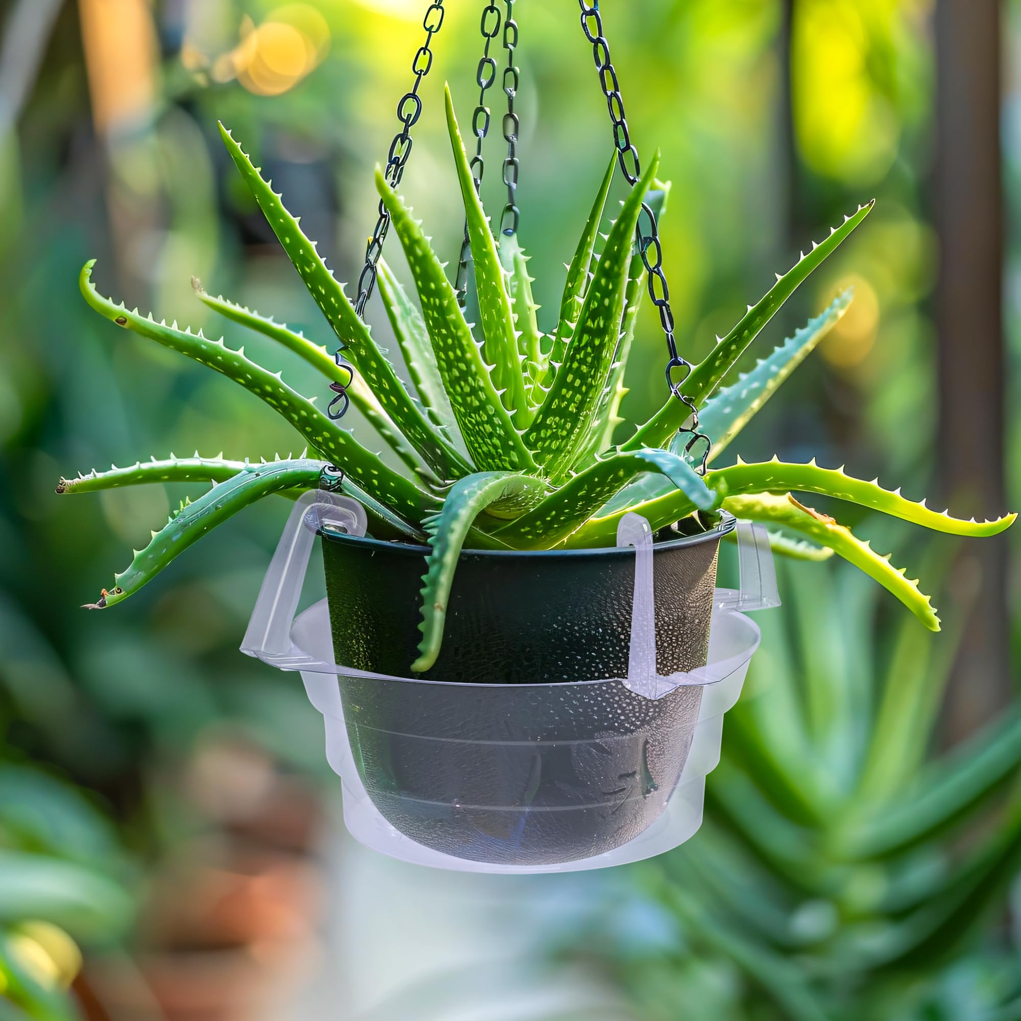 Adnee stacked trays demonstrating 15-pack quantity for multiple plants