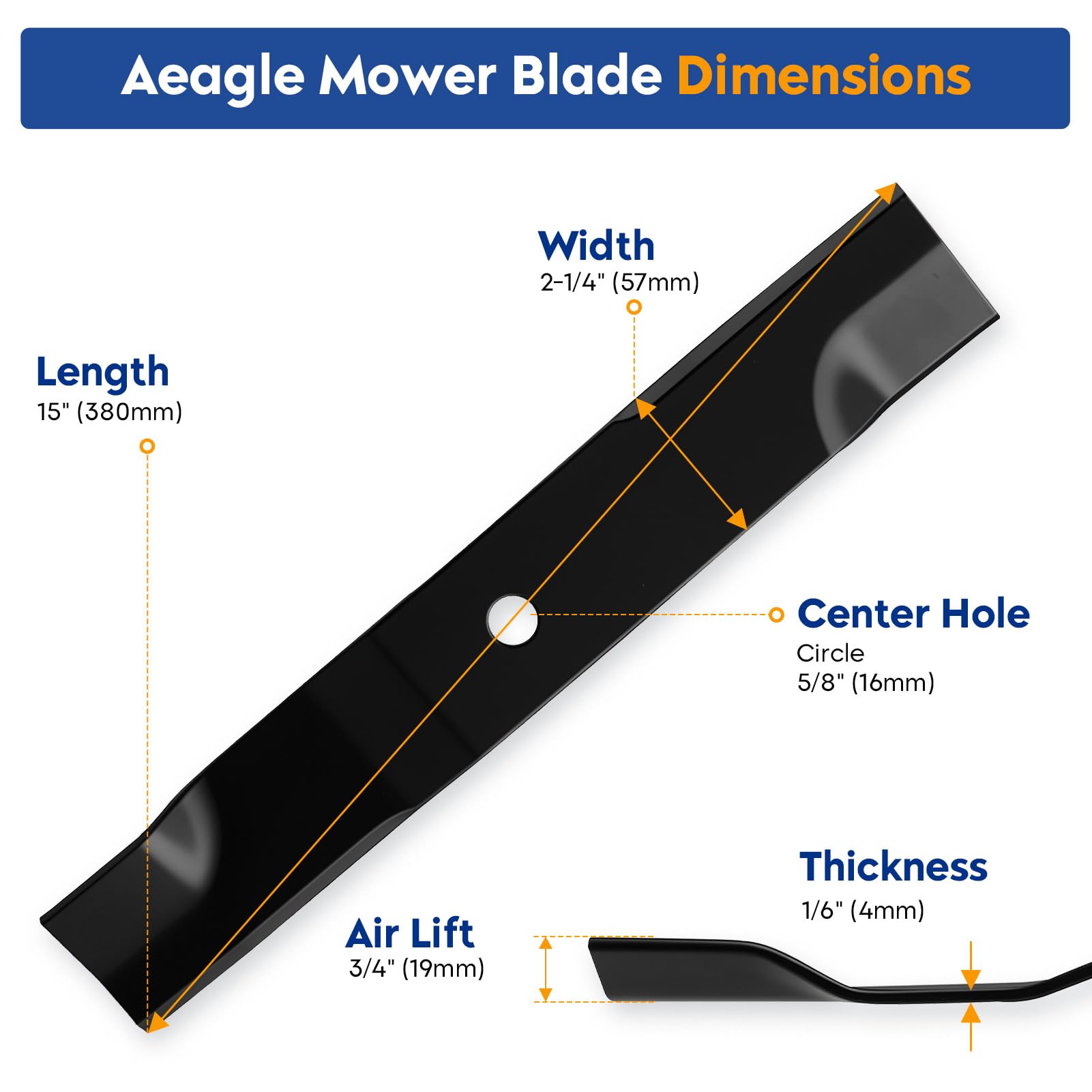 Aeagle close-up of cutting edge showing grind and safety coating benefit