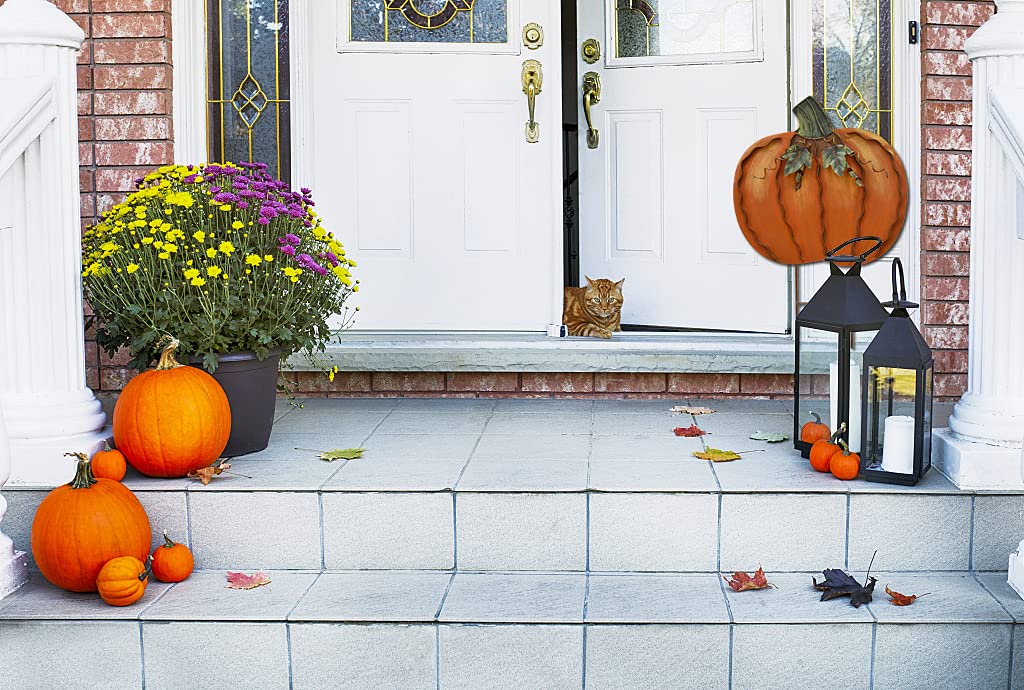 Aecipl pumpkin metal texture closeup showing corrosion-resistant finish for durability