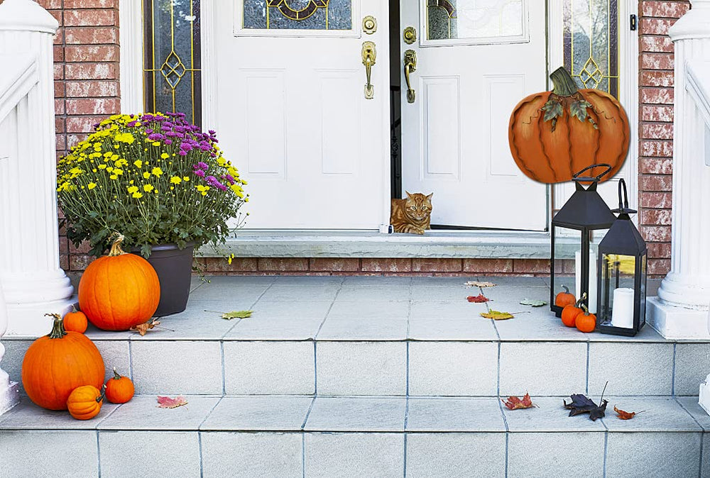 Aecipl pumpkin metal texture closeup showing corrosion-resistant finish for durability