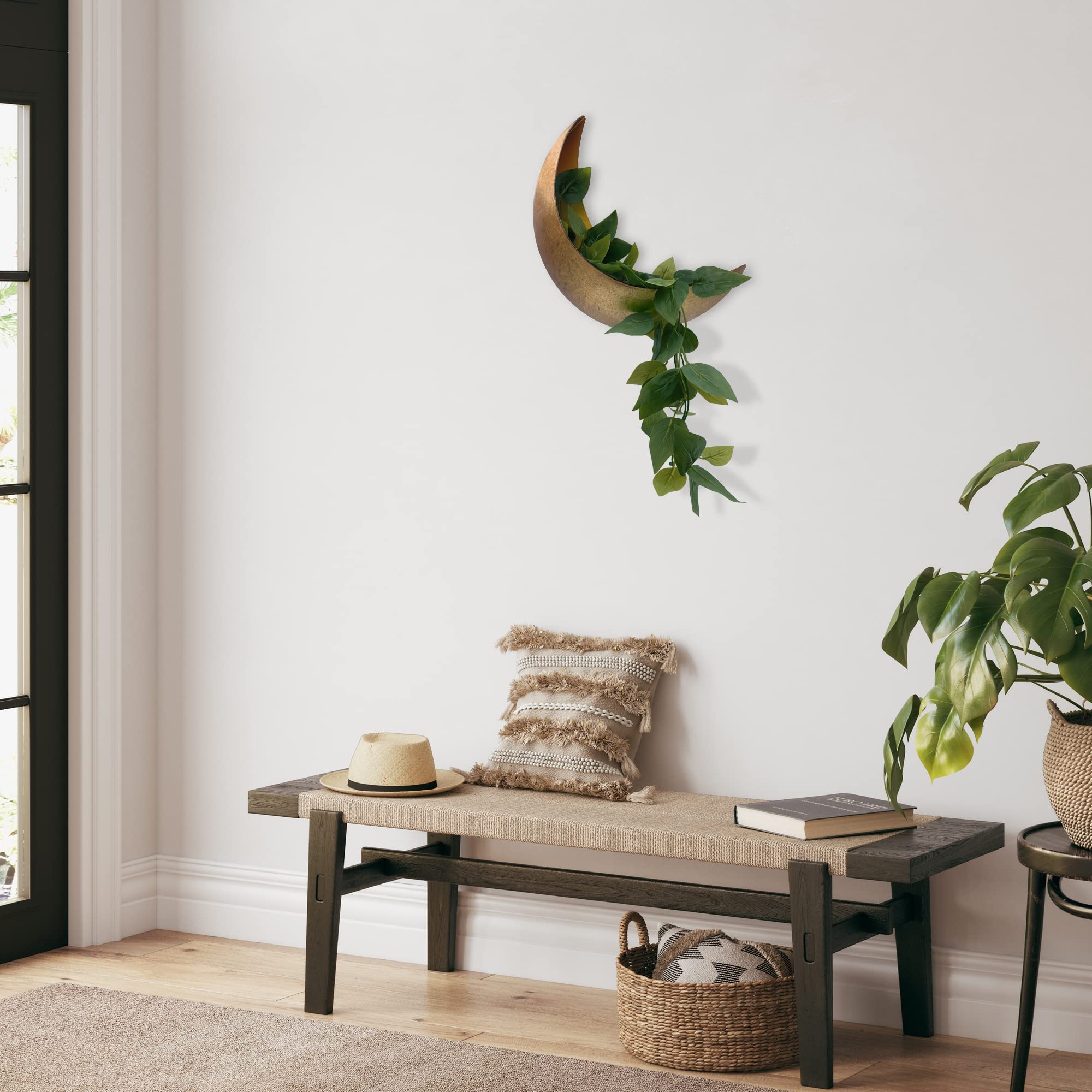 AERLO moon planter filled with succulents showing living display benefit and boho style