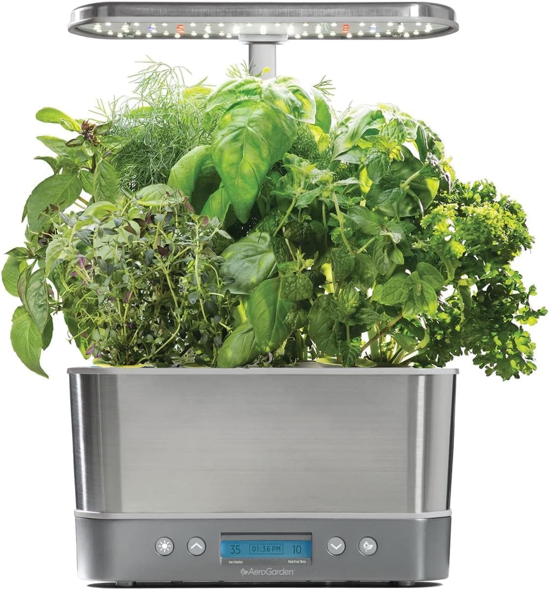 AeroGarden Harvest Elite front view showing stainless steel finish and six-plant layout for modern kitchens