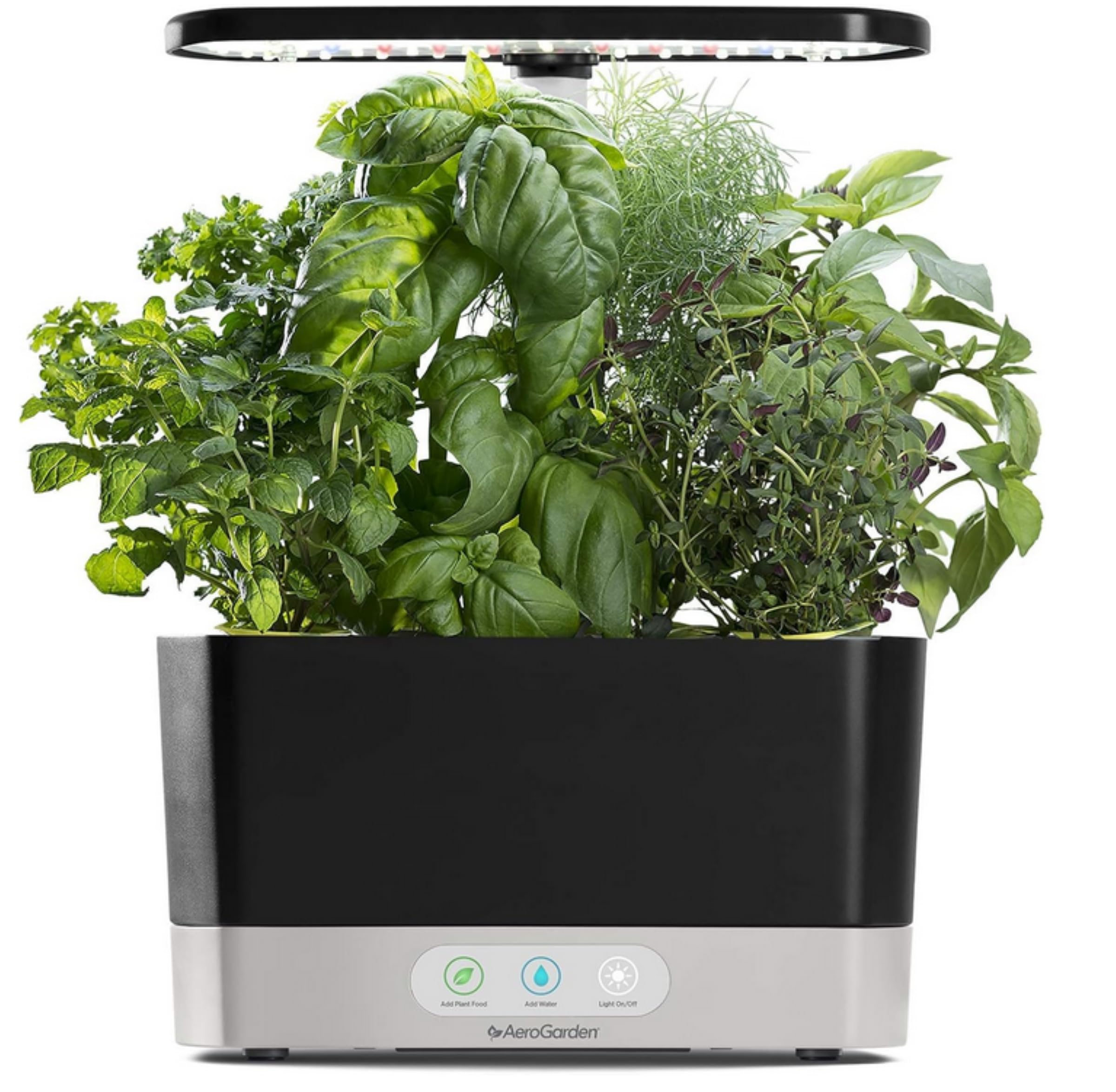 AeroGarden Harvest front view showing compact hydroponic garden and six plant pods for fresh herbs
