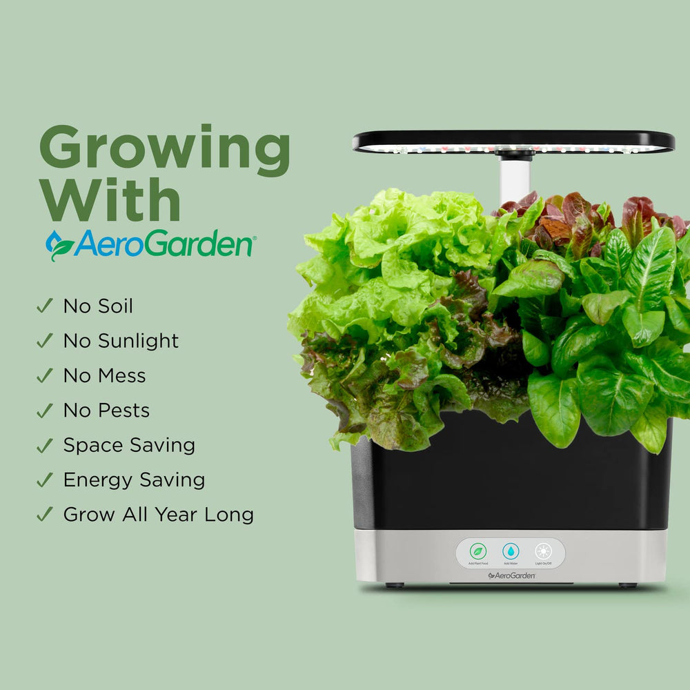 AeroGarden Harvest on kitchen counter with thriving herbs providing fresh cooking ingredients