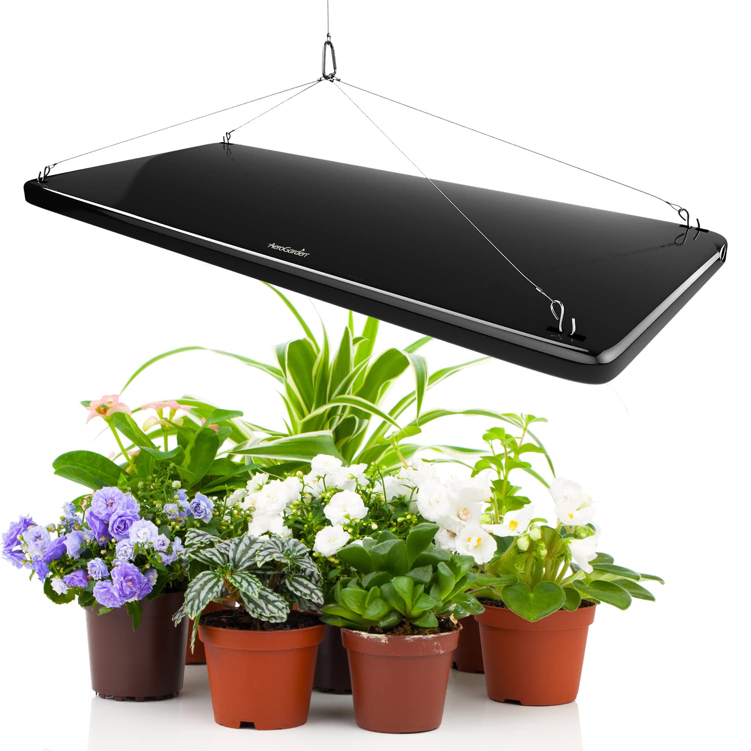 AeroGarden closeup of LED array showing mixed-spectrum LEDs for growth