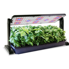 AeroGarden front view of LED panel showing slim profile and coverage benefit