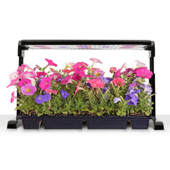 AeroGarden panel suspended with hanging kit providing overhead light advantage