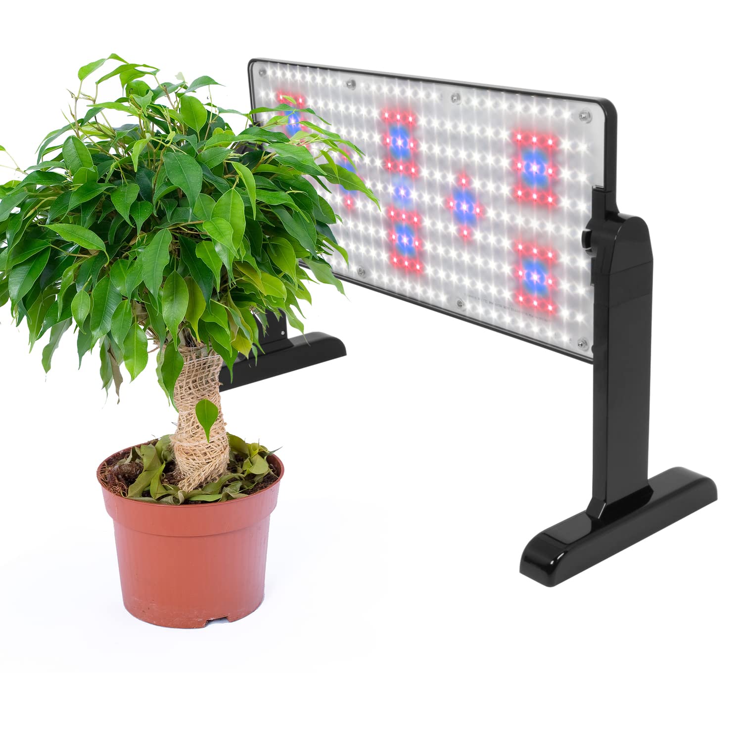 AeroGarden panel raised above seed tray showing adjustable-height convenience