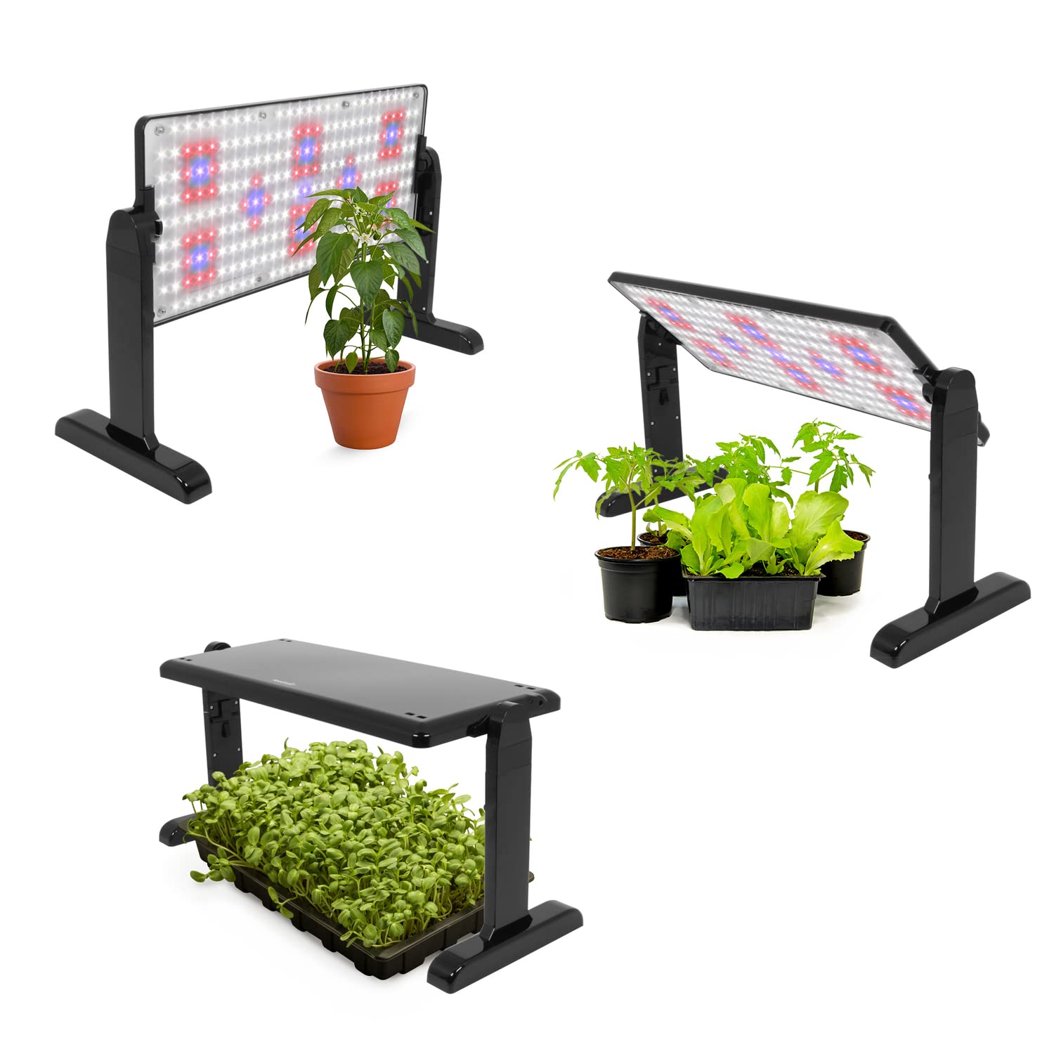 AeroGarden panel illuminating kitchen herb pots showing home-garden styling