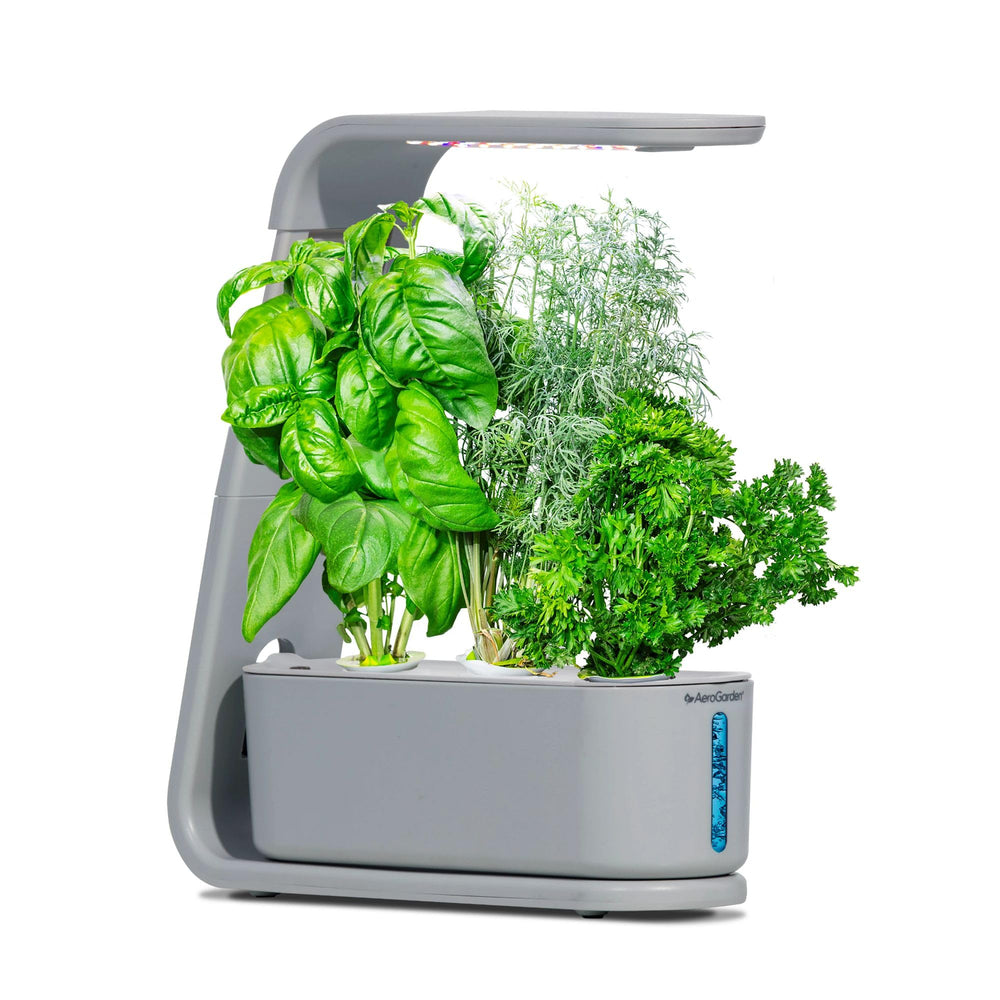 AeroGarden Sprout front view in cool gray showcasing compact design and fresh herbs