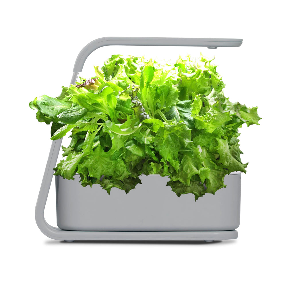 AeroGarden Sprout reservoir and root zone close-up demonstrating clean hydroponic growth