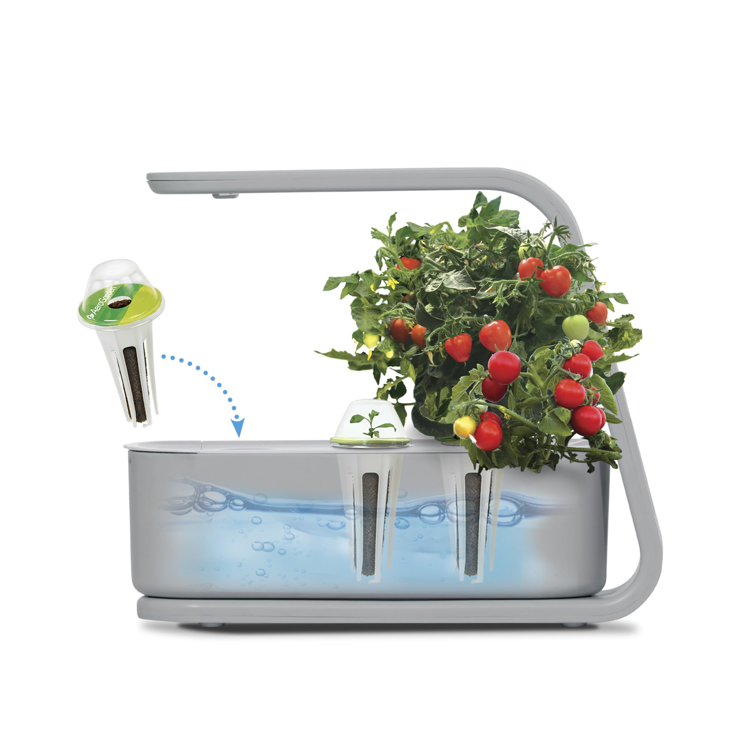 AeroGarden Sprout seed pods and 3oz nutrient bottle included for immediate planting