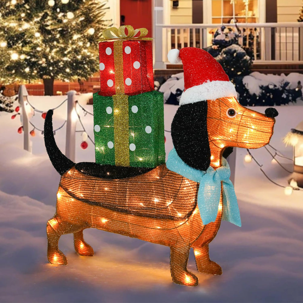 Afirst dachshund front view glowing and adding curbside charm