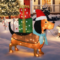 Afirst dachshund front view glowing and adding curbside charm