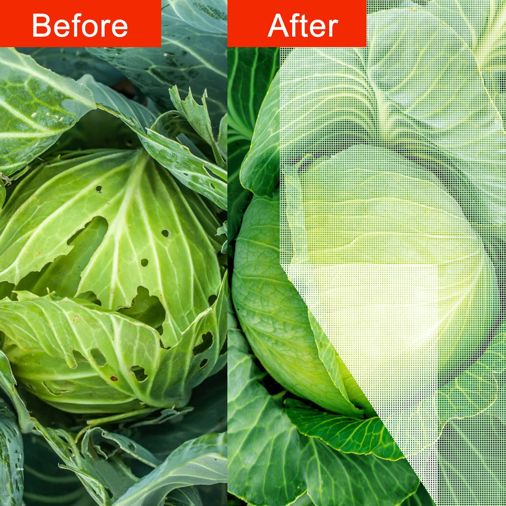 Agfabric netting draped over vegetable bed providing bird and insect protection