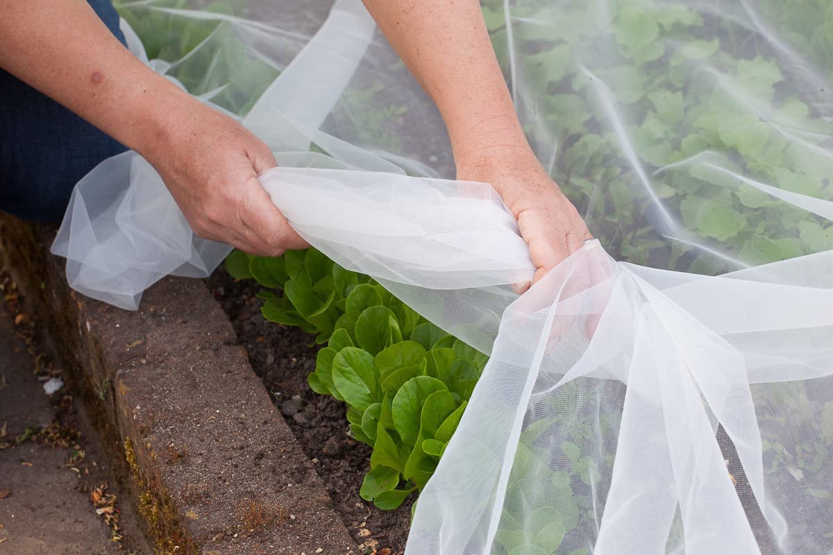 Agfabric fastened to hoop frame creating a lightweight row cover for seedlings