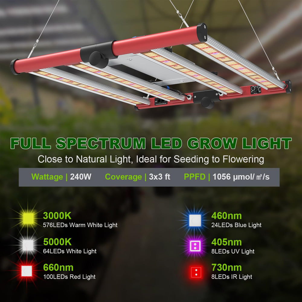 AGLEX daisy chain and control panel showing easy multi-light synchronization