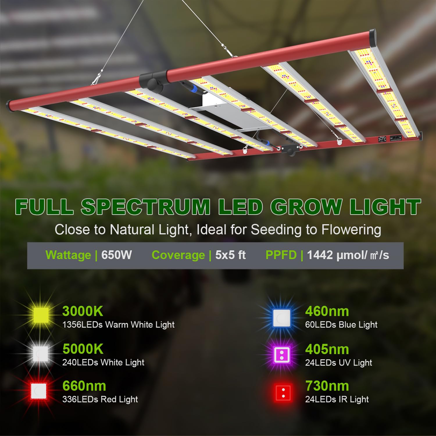 AGLEX daisy-chain connection detail enabling synchronized control across fixtures