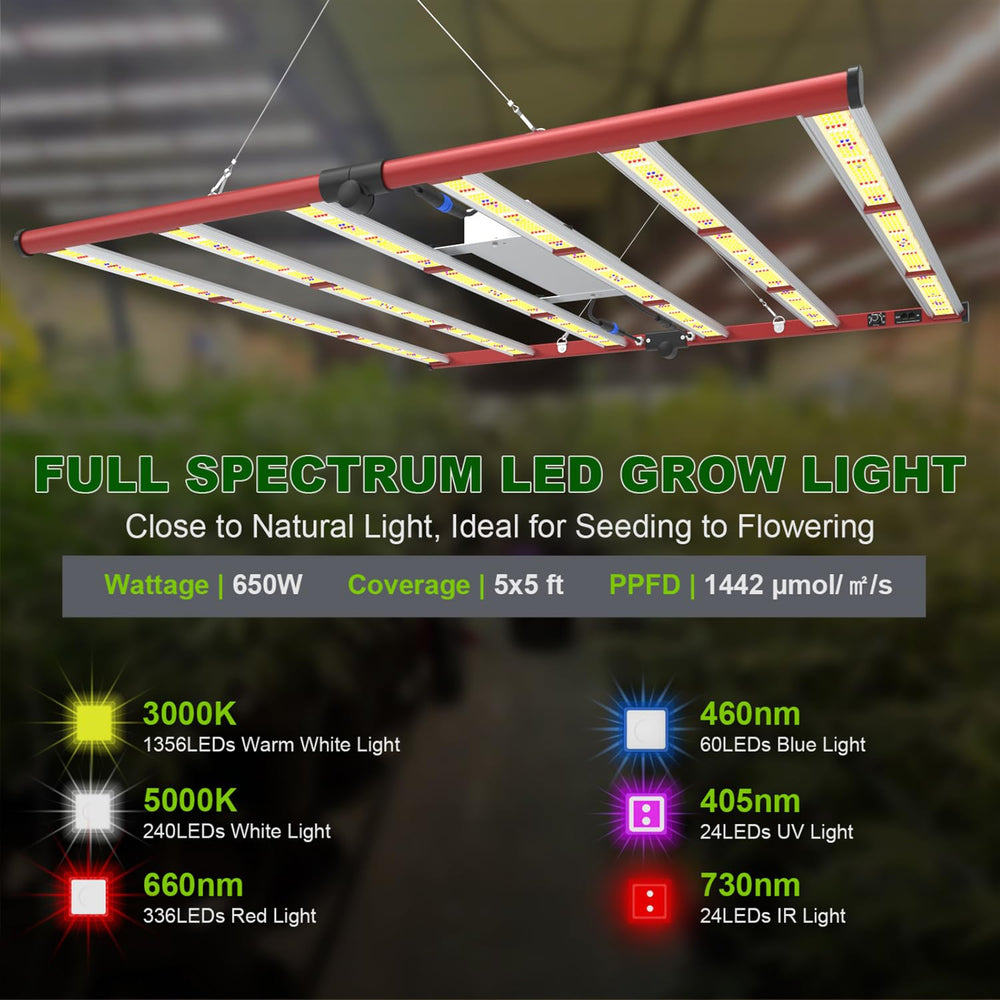 AGLEX daisy-chain connection detail enabling synchronized control across fixtures