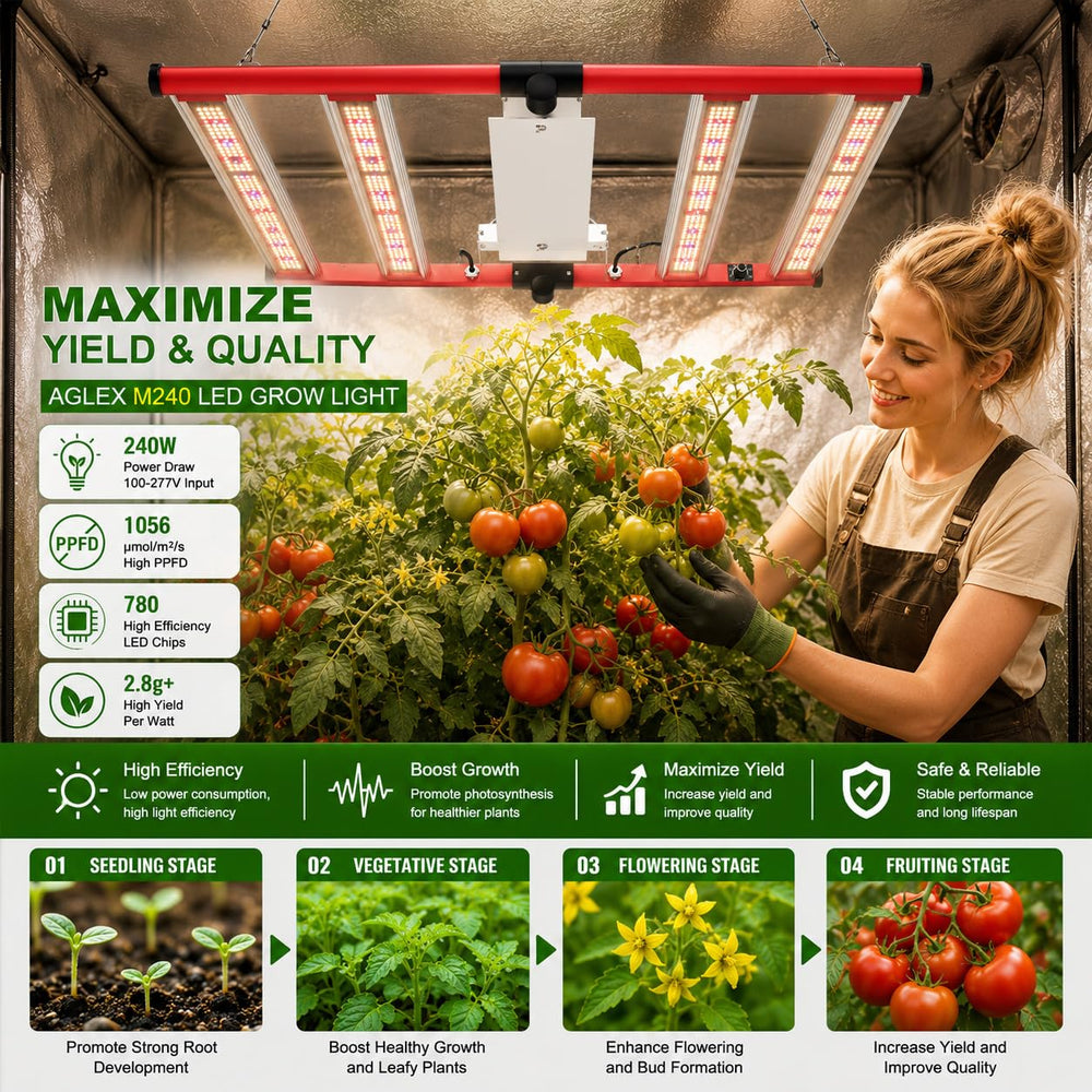 AGLEX installed in a 3x3 grow tent demonstrating even canopy coverage benefit
