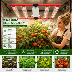 AGLEX installed in a 3x3 grow tent demonstrating even canopy coverage benefit