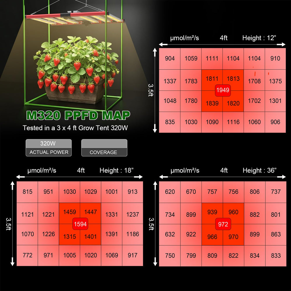 AGLEX installed in grow tent demonstrating uniform canopy coverage benefit