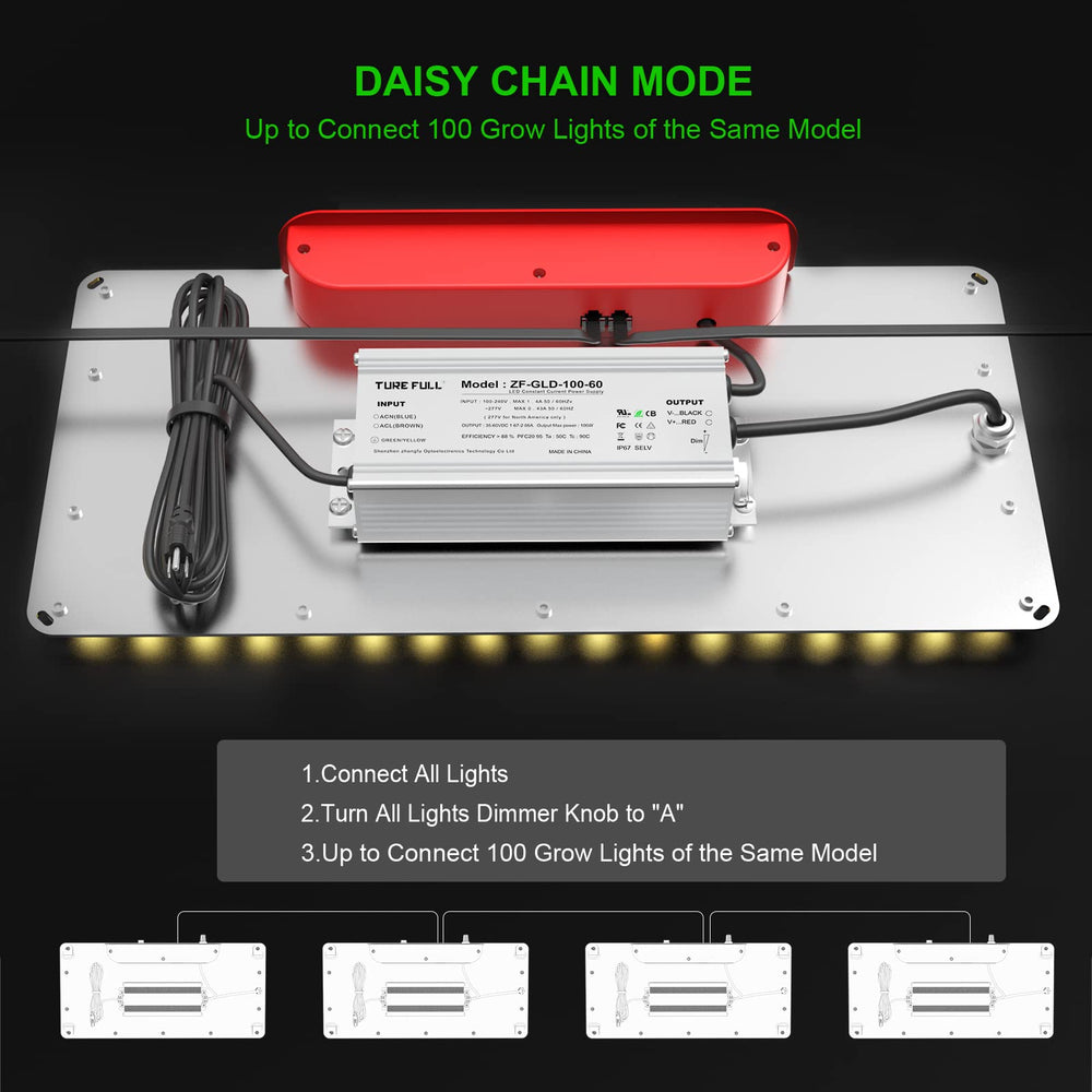 AGLEX K1000 daisy-chain connection illustrating easy multi-light synchronization